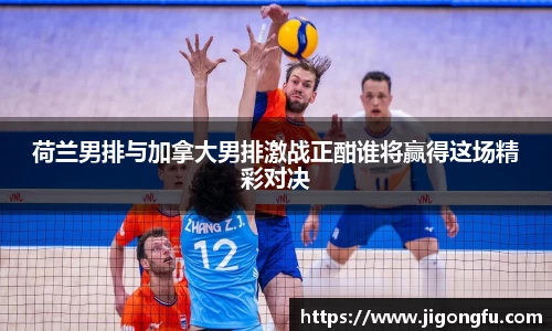 荷兰男排与加拿大男排激战正酣谁将赢得这场精彩对决